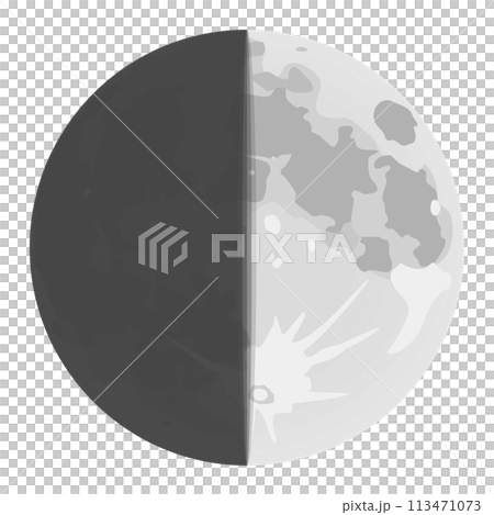 First quarter moon 113471073