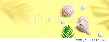 Summer concept with seashells and a palm leaf Summer concept with seashells and a palm leaf 113471074