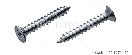 ねじ ねじ 113471152