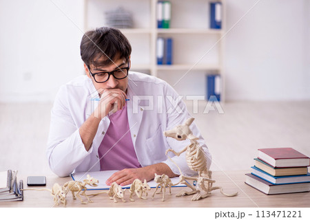 Young male paleontologist examining ancient animals at lab Young male paleontologist examining ancient animals at lab 113471221