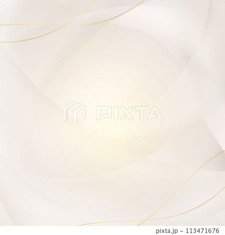 ゴールドラインの高級感なコンセプトの抽象的なモダンな白い背景 113471676