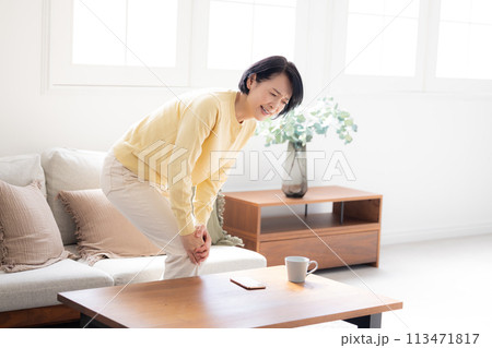 腰痛　ひざが痛いミドル女性 113471817