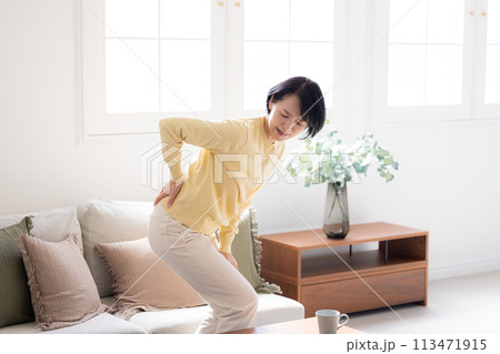腰痛　腰が痛いミドル女性 113471915