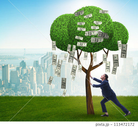 Businessman with money tree in business concept 113472172