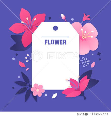 Colorful Flower Illustration Background Frame  Colorful Flower Illustration Background Frame  113472463