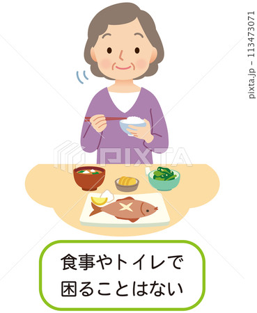 食事をする高齢者女性　介護　健康 113473071