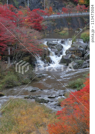井の淵の紅葉（大井平公園　愛知県 豊田市） 113473084