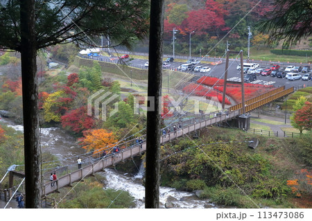 風のつり橋（大井平公園　愛知県 豊田市） 113473086