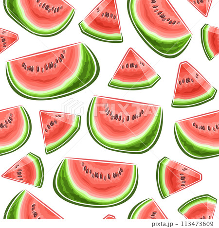 Vector Watermelon Seamless Pattern 113473609