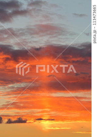 太陽柱　冷え込んだ朝 113473665