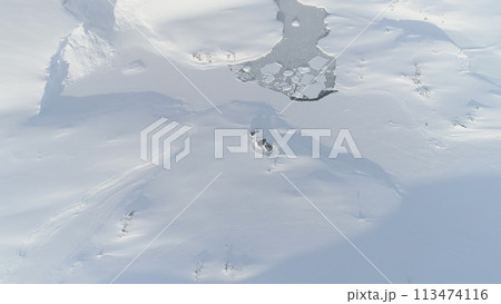 Antarctica Aerial Landscape Above Base. Vernadsky Station in Snow Covered Arctic Frozen Nature. Open Water Ocean Glacier Coastline Drone Top Flight 113474116