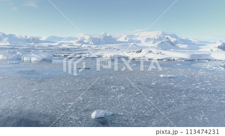Arctic Polar Mountain Coast Aerial View. Snow Covered Antarctica Ocean Landscape Overview. North Nature Horizon Stunning Panorama Drone 113474231