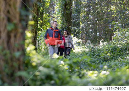 Three young friends Walking Through a Forest 113474407