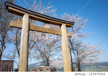春の青空　南阿蘇鳥の小塚公園 113474561