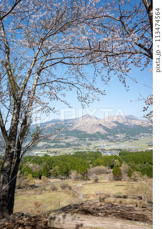 春の青空 南阿蘇鳥の小塚公園 春の青空 南阿蘇鳥の小塚公園 113474564