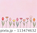 カラフルな花の背景素材ピンク 113474632