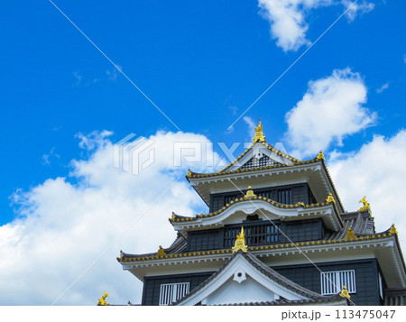 そびえる岡山城の天守閣 113475047