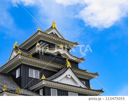 そびえる岡山城の天守閣 113475055