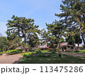 兵庫県 加古川市 鶴林寺 鶴林寺公園 桜 113475286