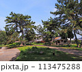 兵庫県 加古川市 鶴林寺 鶴林寺公園 桜 113475288