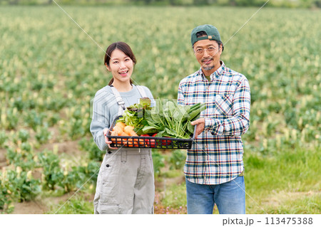 農作物をかかえて笑顔を見せる若い女性とベテラン農夫 113475388