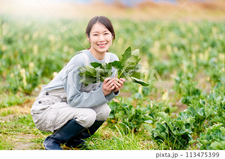 農園にて農作物を手にして笑顔を見せる若い女性 113475399