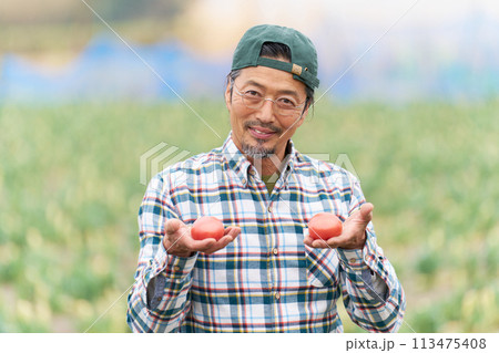 収穫したトマトを手にして笑顔を見せる中年男性 収穫したトマトを手にして笑顔を見せる中年男性 113475408