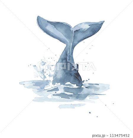 Hand drawn watercolor sketch, blue whale tail in the water, vector fish dives. 113475452