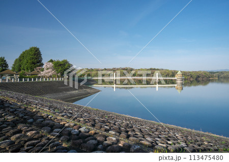 桜が咲くころの青空の狭山湖と取水塔　狭山丘陵に位置するダム湖 113475480