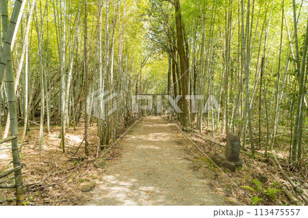 笹井山の麓(岡山県岡山市) 笹井山の麓(岡山県岡山市) 113475557