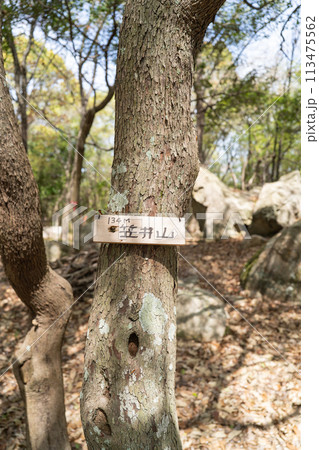 笹井山の山頂(岡山県岡山市) 笹井山の山頂(岡山県岡山市) 113475562