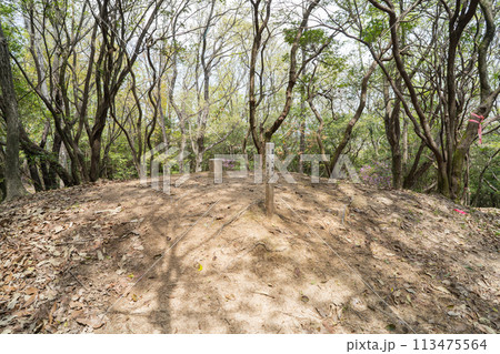 円山の山頂（岡山県岡山市） 113475564