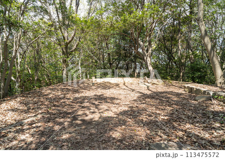 操山の山頂（岡山県岡山市） 113475572