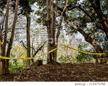 立入禁止区域を示す規制線のテープ【きけん立入禁止】 113475766