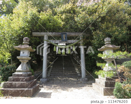 新屋坐天照御魂神社 113476203