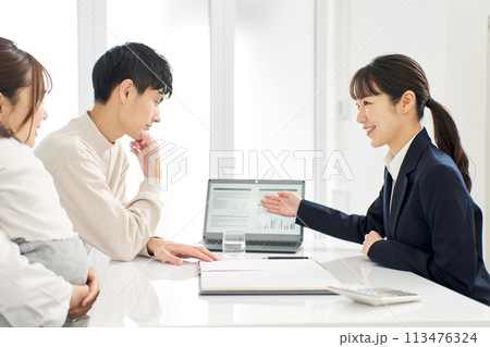 保険の案内をするビジネスウーマン 保険の案内をするビジネスウーマン 113476324