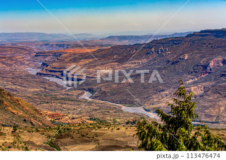 Mountain landscape with canyon, Ethiopia 113476474