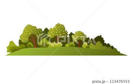 Spring season. Seasonal banner with green tree for social media stories wallpaper, landscape with copy space for text. Vector illustration Spring season. Seasonal banner with green tree for social media stories wallpaper, landscape with copy space for text. Vector illustration 113476553