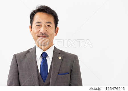 弁護士 ポートレート 弁護士 ポートレート 113476643
