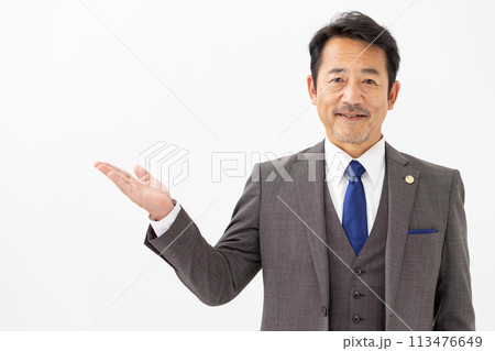 ビジネスマン　弁護士　手かざし 113476649