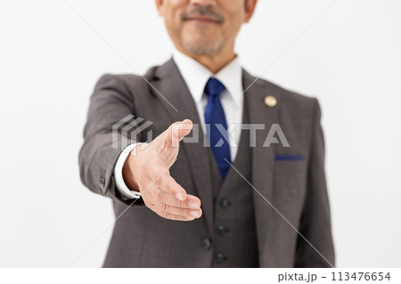 ビジネスマン 弁護士 握手 手元 ビジネスマン 弁護士 握手 手元 113476654