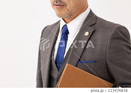 ビジネスマン　弁護士　バッジ 113476656