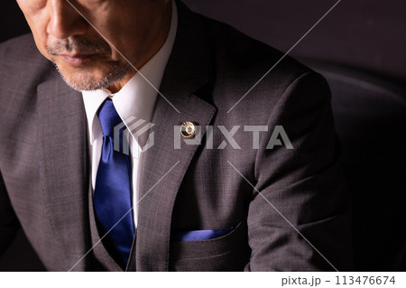 ビジネスマン 弁護士 アップ ビジネスマン 弁護士 アップ 113476674