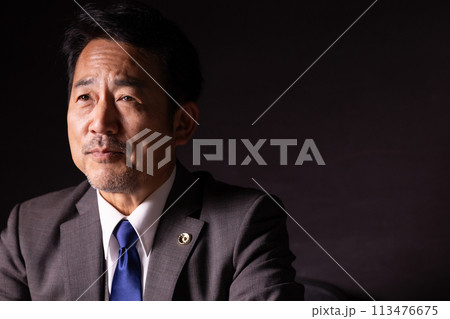 ビジネスマン 弁護士 お任せ ビジネスマン 弁護士 お任せ 113476675