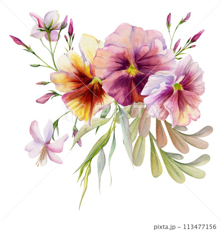 Hand drawn watercolor illustration botanical flowers leaves. Pansy viola, locust indigo branch, pink lobelia jasmine, willow eucalyptus. Bouquet isolated white background. Design wedding, love cards Hand drawn watercolor illustration botanical flowers leaves. Pansy viola, locust indigo branch, pink lobelia jasmine, willow eucalyptus. Bouquet isolated white background. Design wedding, love cards 113477156
