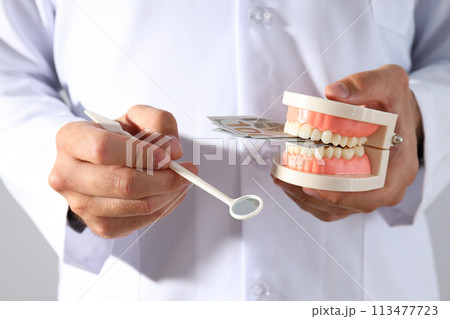 Dental instrument and jaw in hands of dentist on light background 113477723