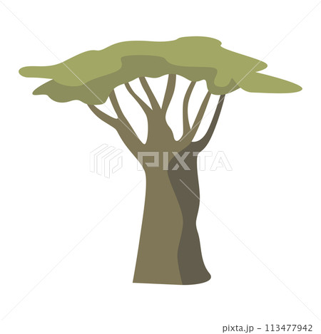 African baobab tree icon color emblem isolated on white background. Vector illustration of powerful plant African baobab tree icon color emblem isolated on white background. Vector illustration of powerful plant 113477942