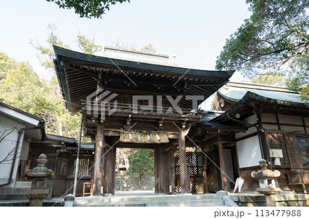 志賀海神社の楼門＜福岡県福岡市/2023年12月＞ 113477988