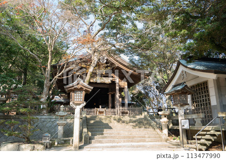 志賀海神社＜福岡県福岡市/2023年12月＞ 113477990