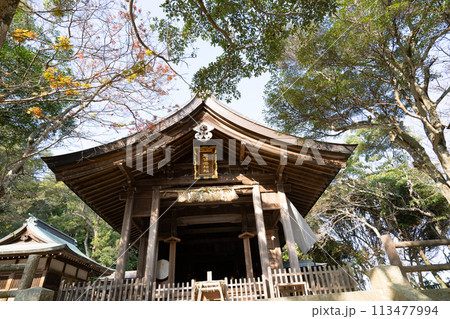 志賀海神社<福岡県福岡市/2023年12月> 志賀海神社<福岡県福岡市/2023年12月> 113477994